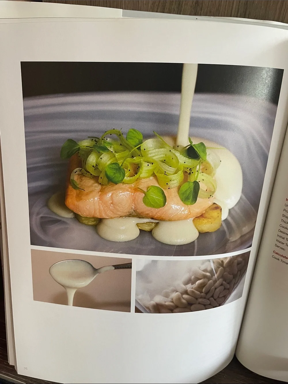 Immersed The definitive guide to sous vide cooking by Philip Preston